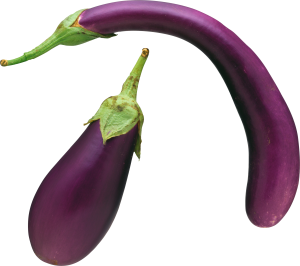 Eggplant PNG images free download-2767